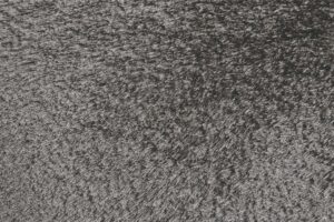 494-4550F-GRY000_DL