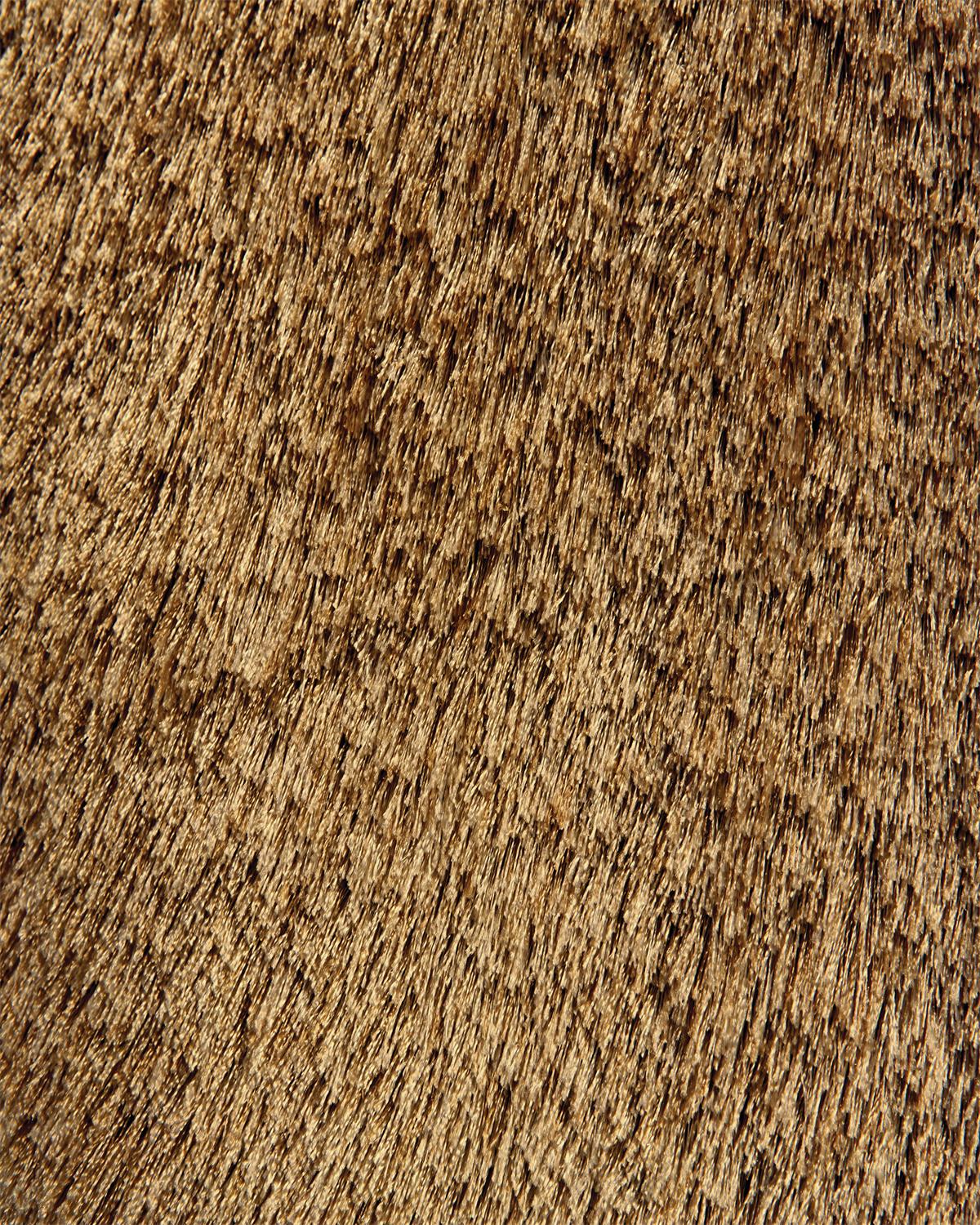 494-4550F-SFN000_DL