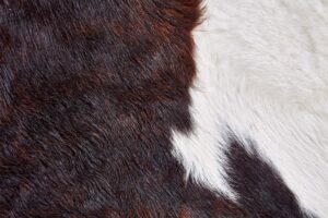 ARG-COWHD-EXODRK_DL